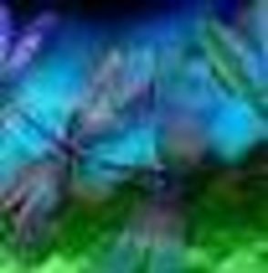 Meet your Posher, Keely